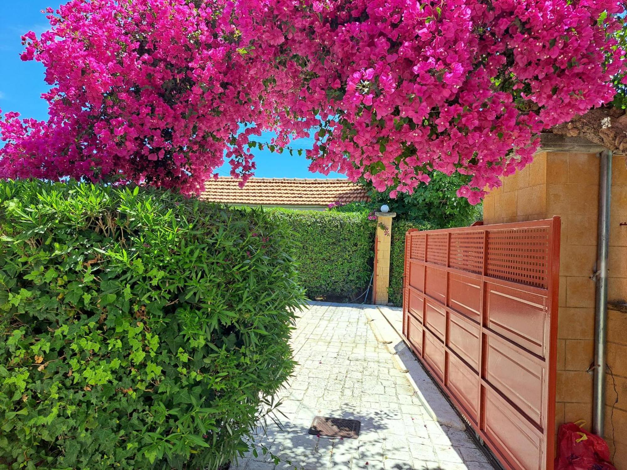 Holiday Home Orfanos Armenoí Eksteriør billede